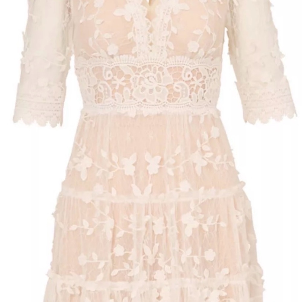 Elegant Lace Floral Dress NWT